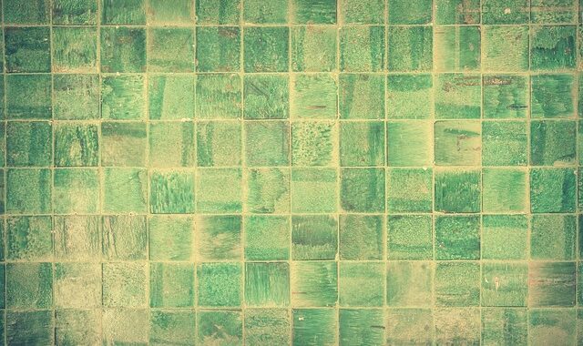 le-carrelage